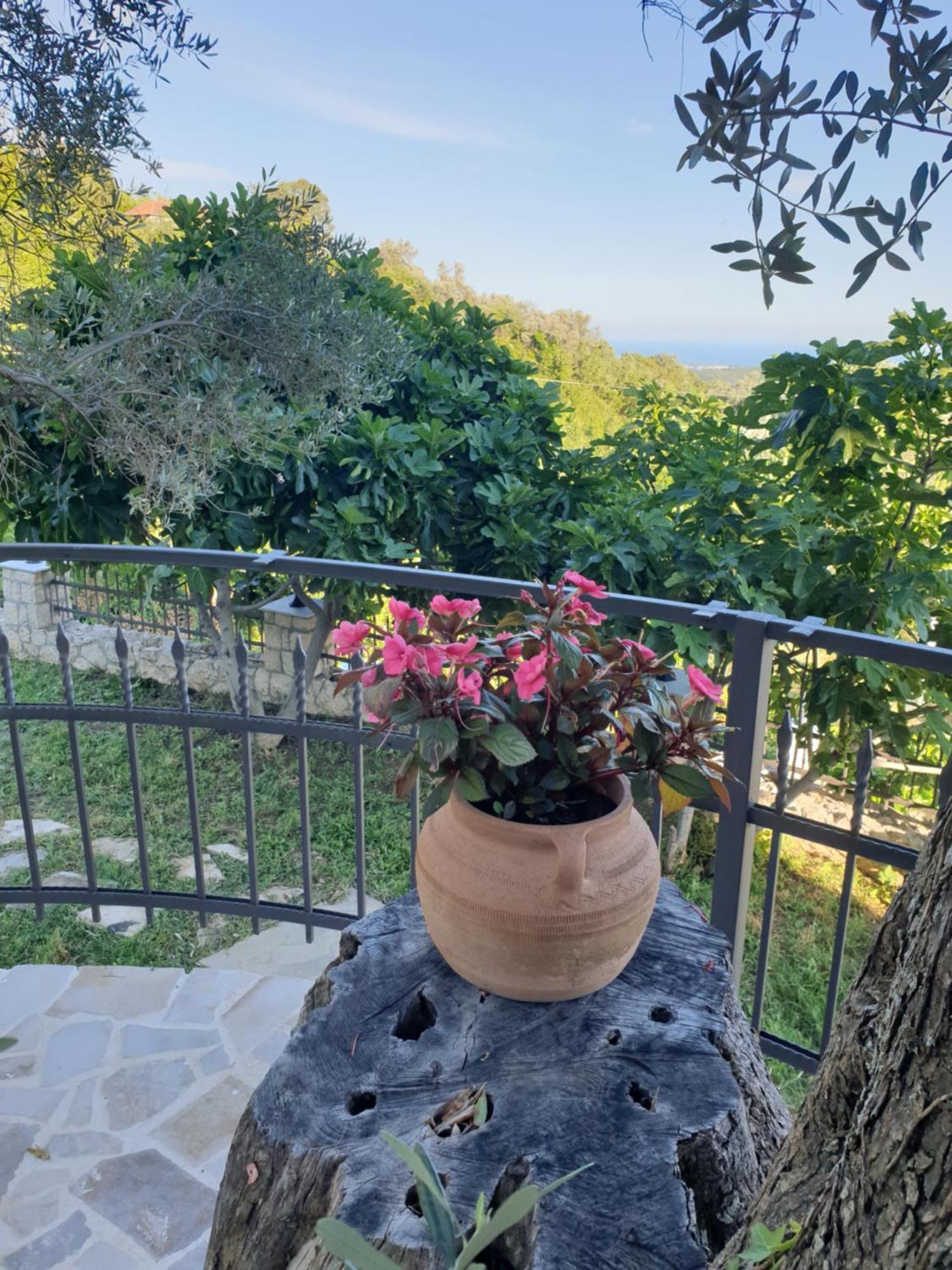 Rustic Villas Barlovic Ulcinj Exterior photo